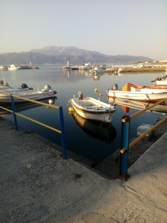 Elen House Villa Chiliadou  Dış mekan fotoğraf