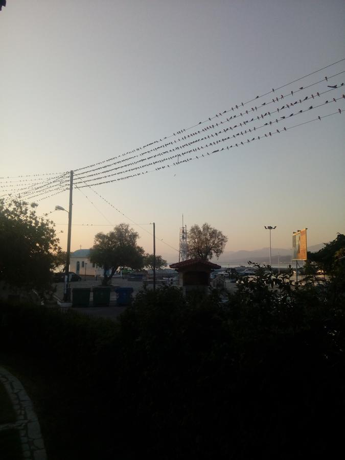 Elen House Villa Chiliadou  Dış mekan fotoğraf